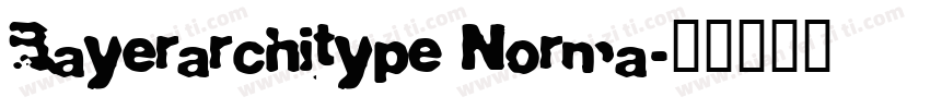 Bayerarchitype Norma字体转换
